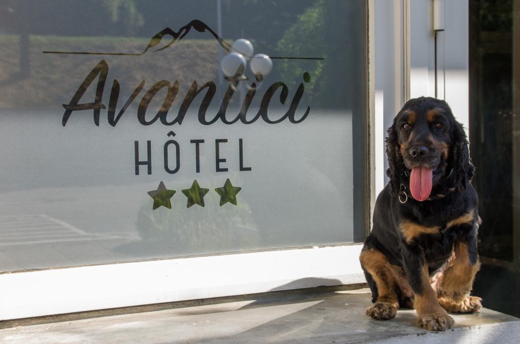 Cit'Hotel Avantici Gap Exteriör bild